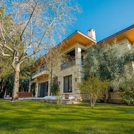 Villa Side Vilă *